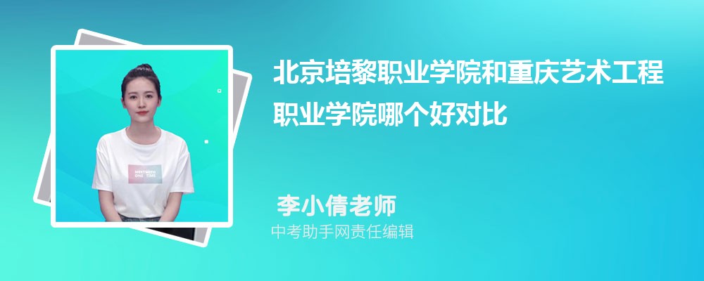 重庆艺术工程职业学院和昆山登云科技职业学院哪个好 2024对比排名分数线